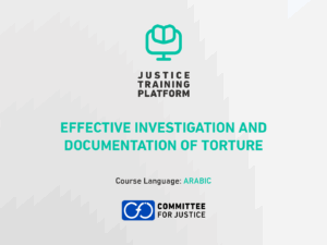 Effective investigation and documentation of torture.png