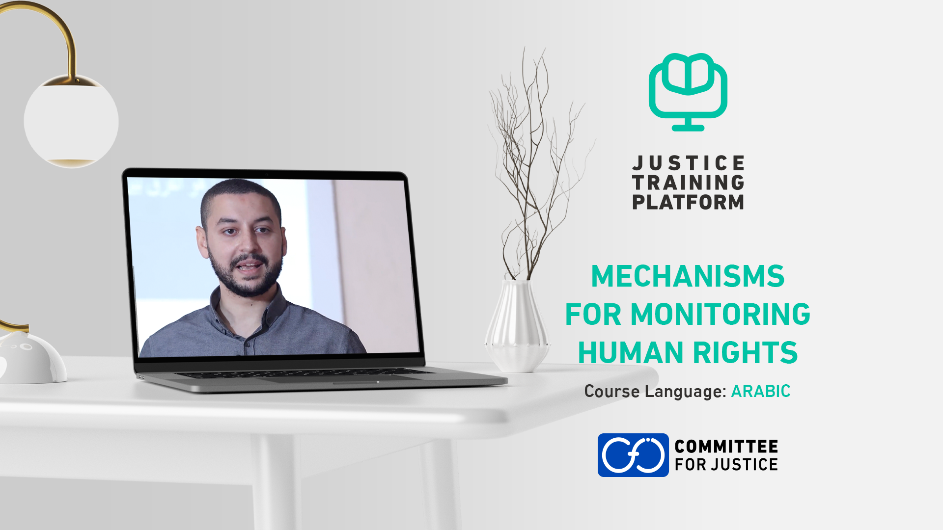 Mechanisms _for Monitoring Human Rights.png