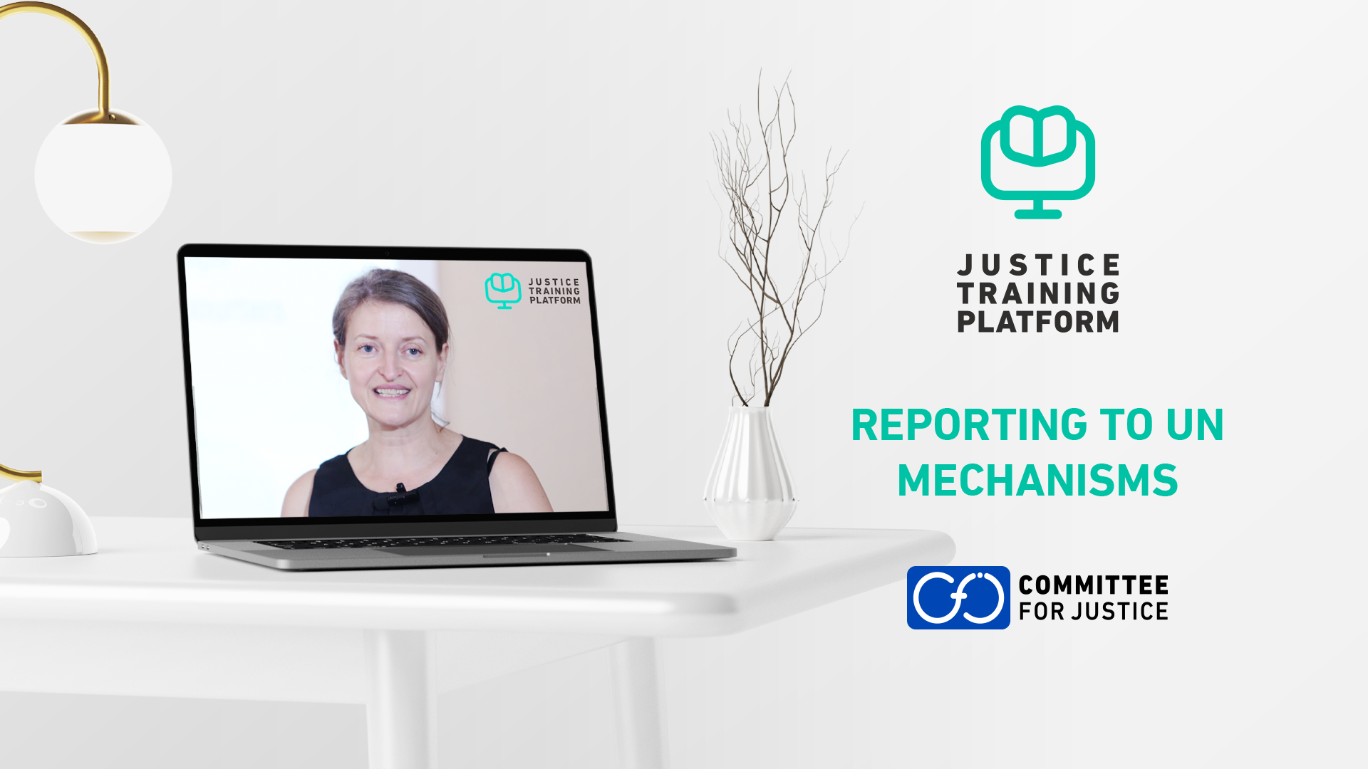 Reporting to UN Mechanisms.png